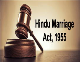 Brief of Hindu Marriage Act 1955