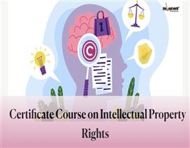 Certificate Course on Intellectual Property Rights by Into Legal World Institute